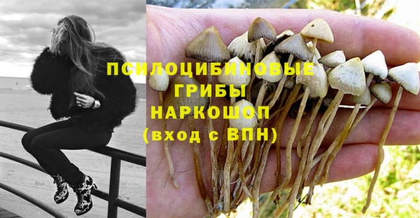 каннабис Волоколамск