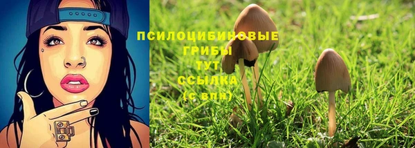 стафф Володарск
