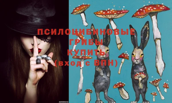 стафф Володарск